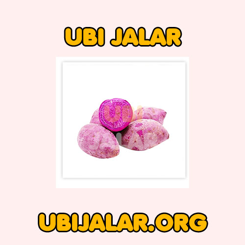 ubi jalal